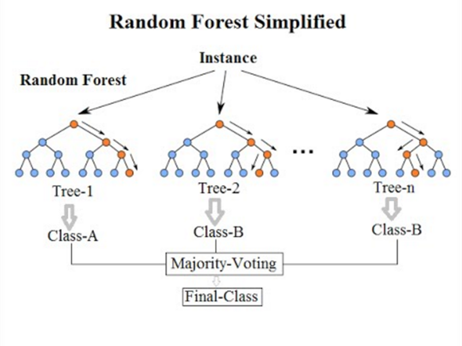 A diagram to show a simplified random forest